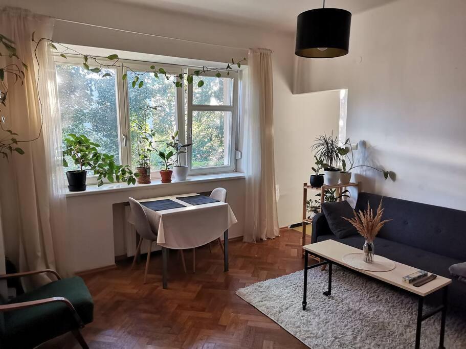 Cozy Studio In The City Centre Near Train Station 브라티슬라바 외부 사진