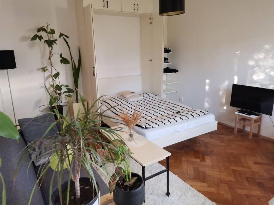 Cozy Studio In The City Centre Near Train Station 브라티슬라바 외부 사진